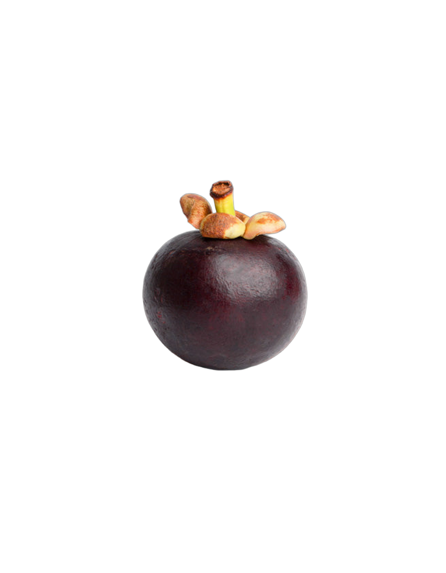 Mangosteen