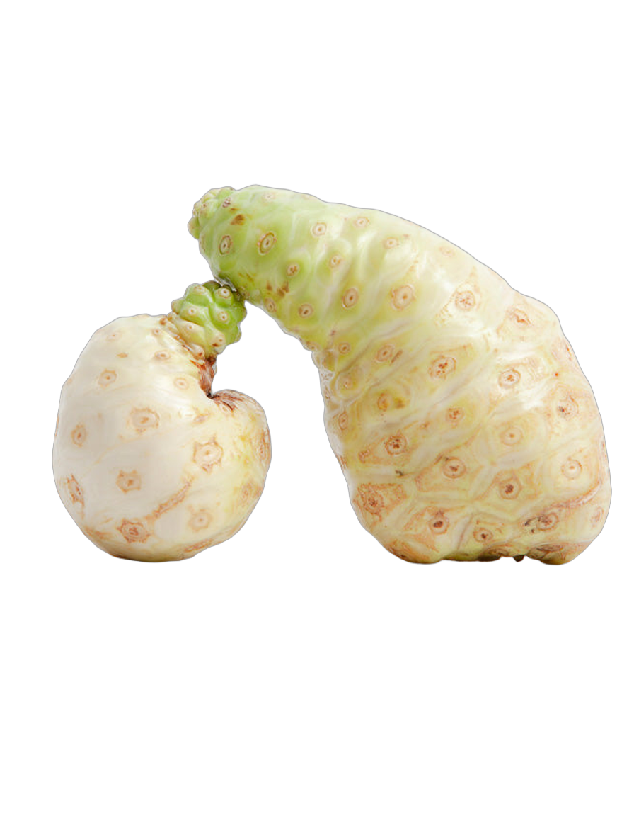 Noni